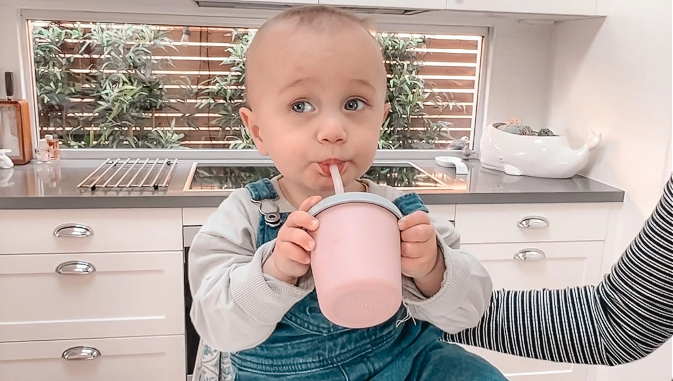 Haakaa Jolly Hippo Silicone Sippy Cup 1 pk - Image 8