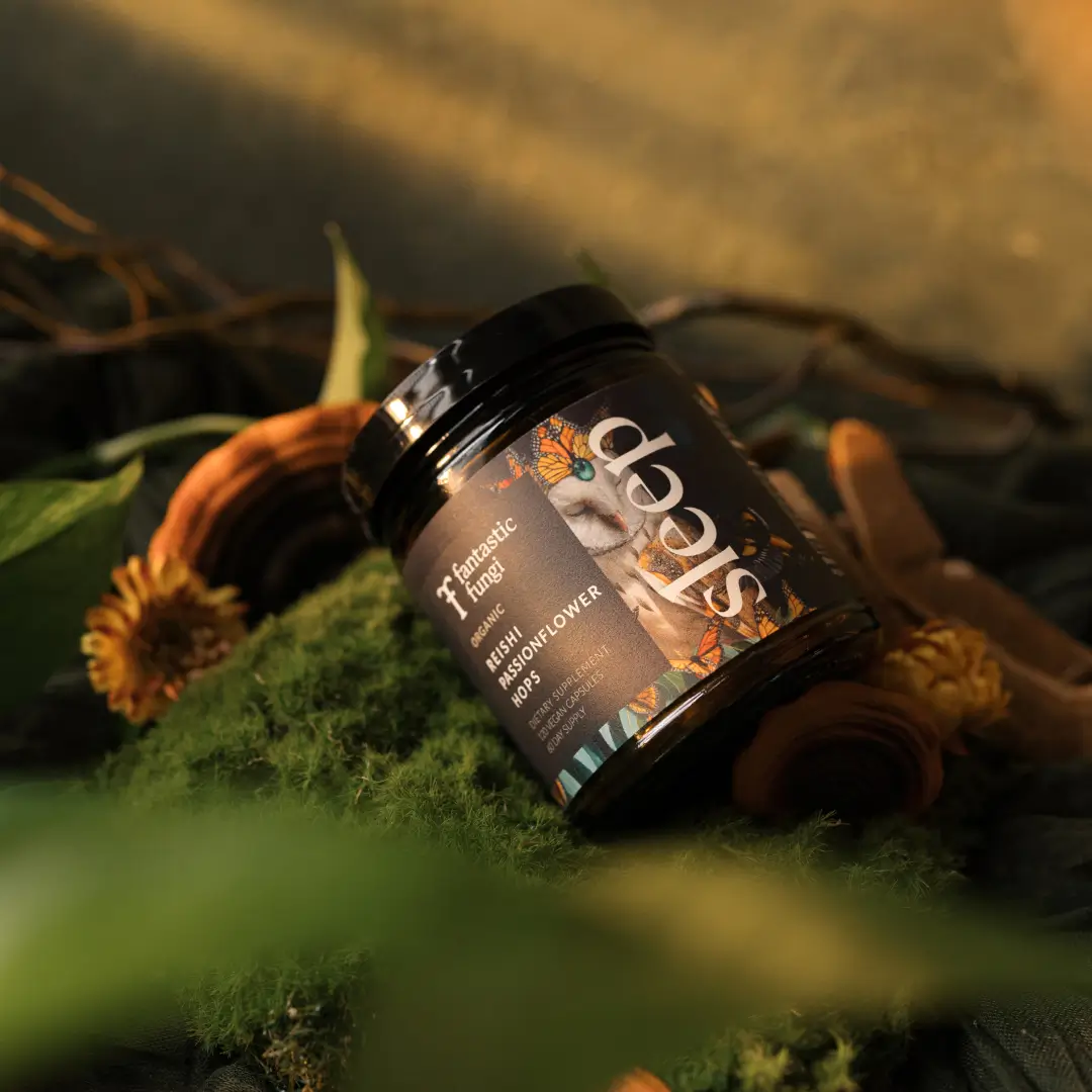 Fantastic Fungi Sleep Capsules - Image 3