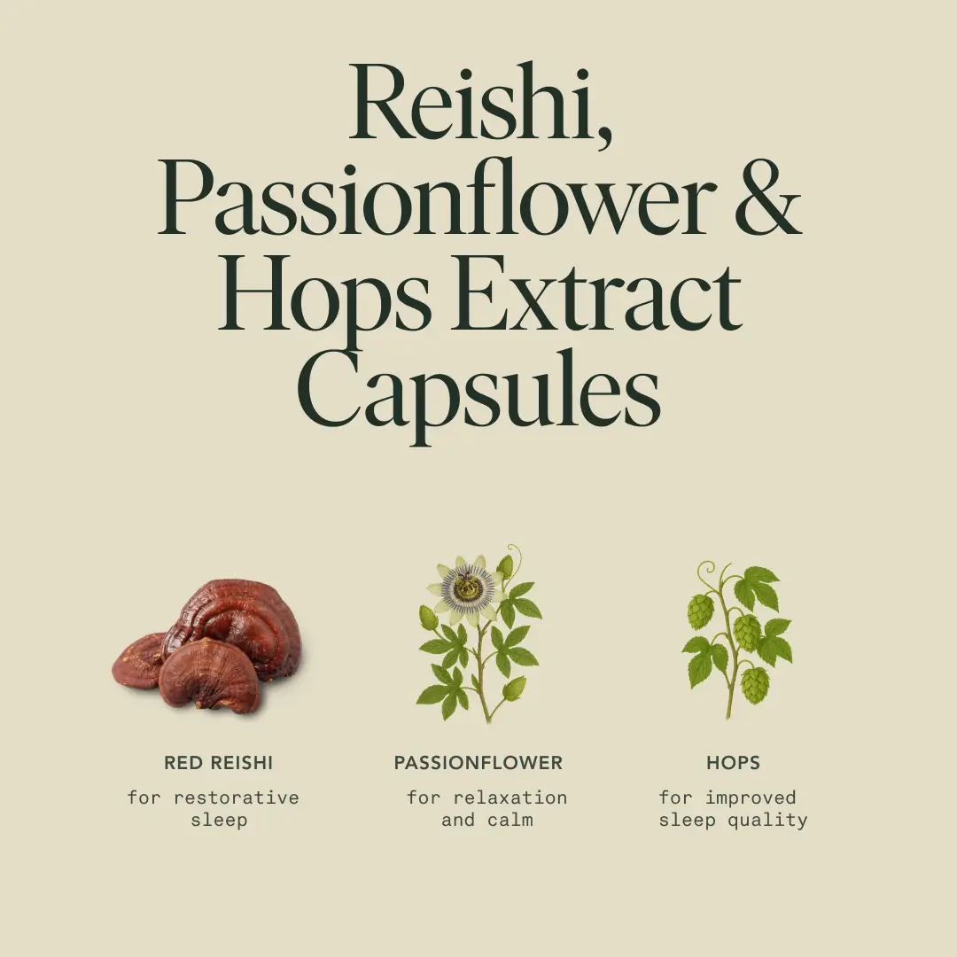 Fantastic Fungi Sleep Capsules - Image 6