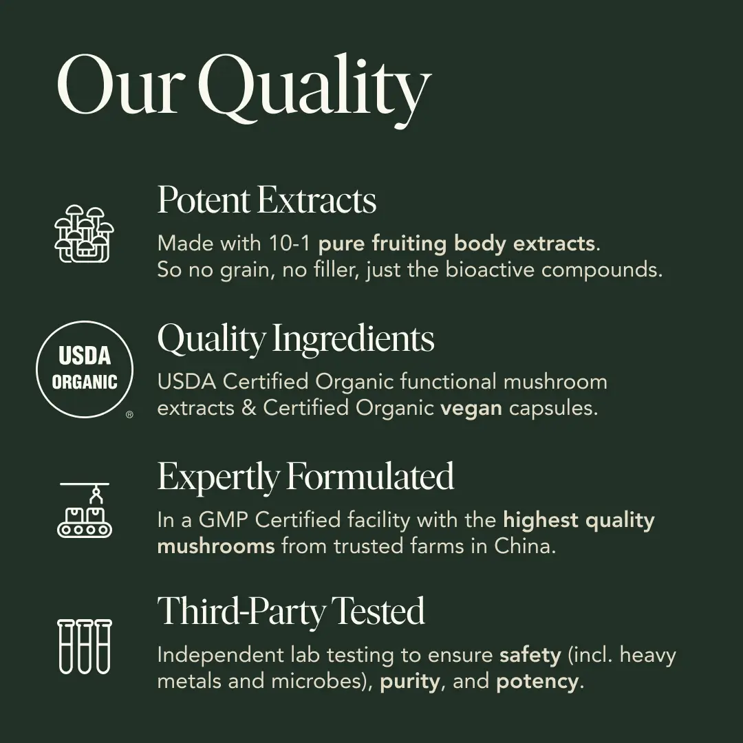 Fantastic Fungi Sleep Capsules - Image 7