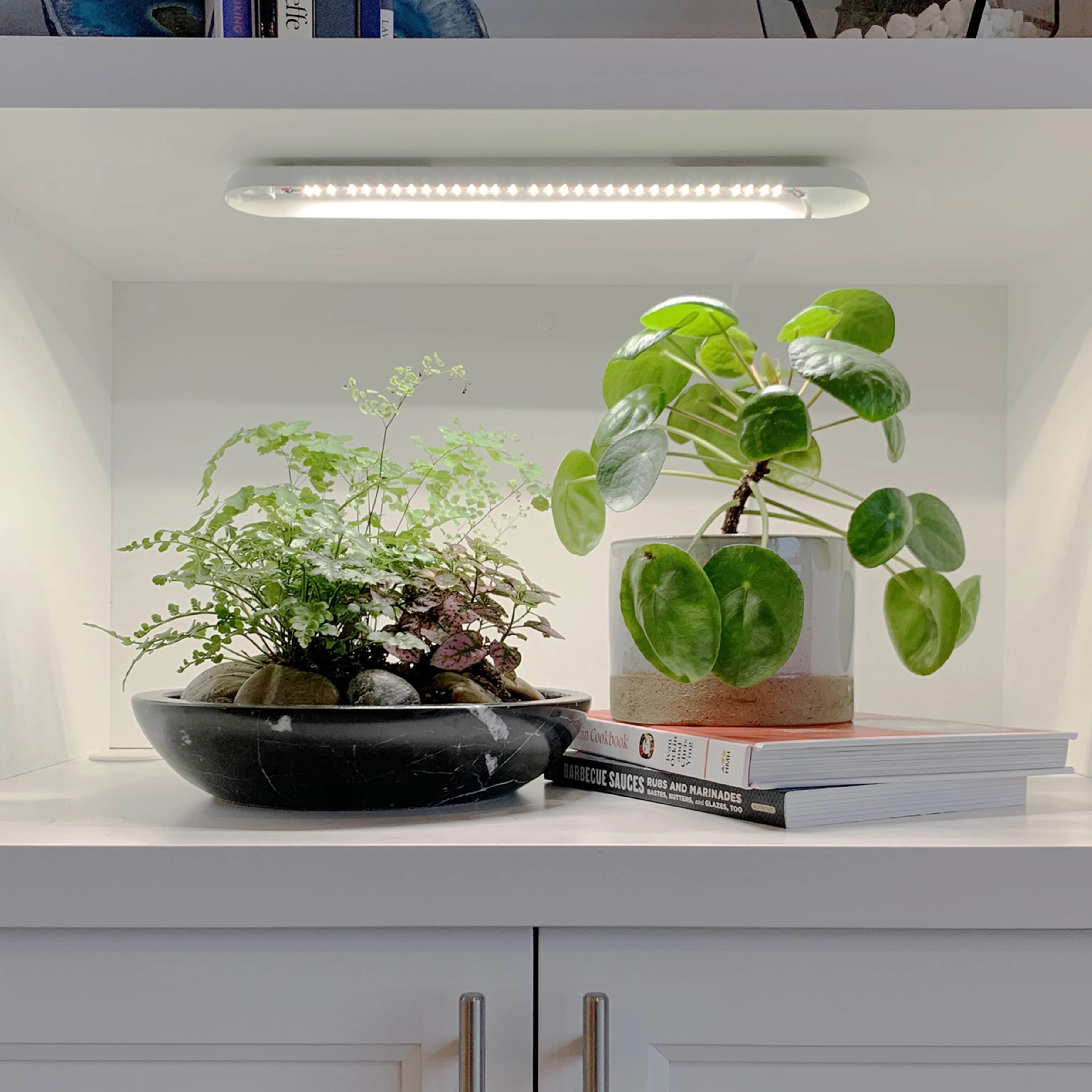 Modern Sprout Smart Growbar - Image 12