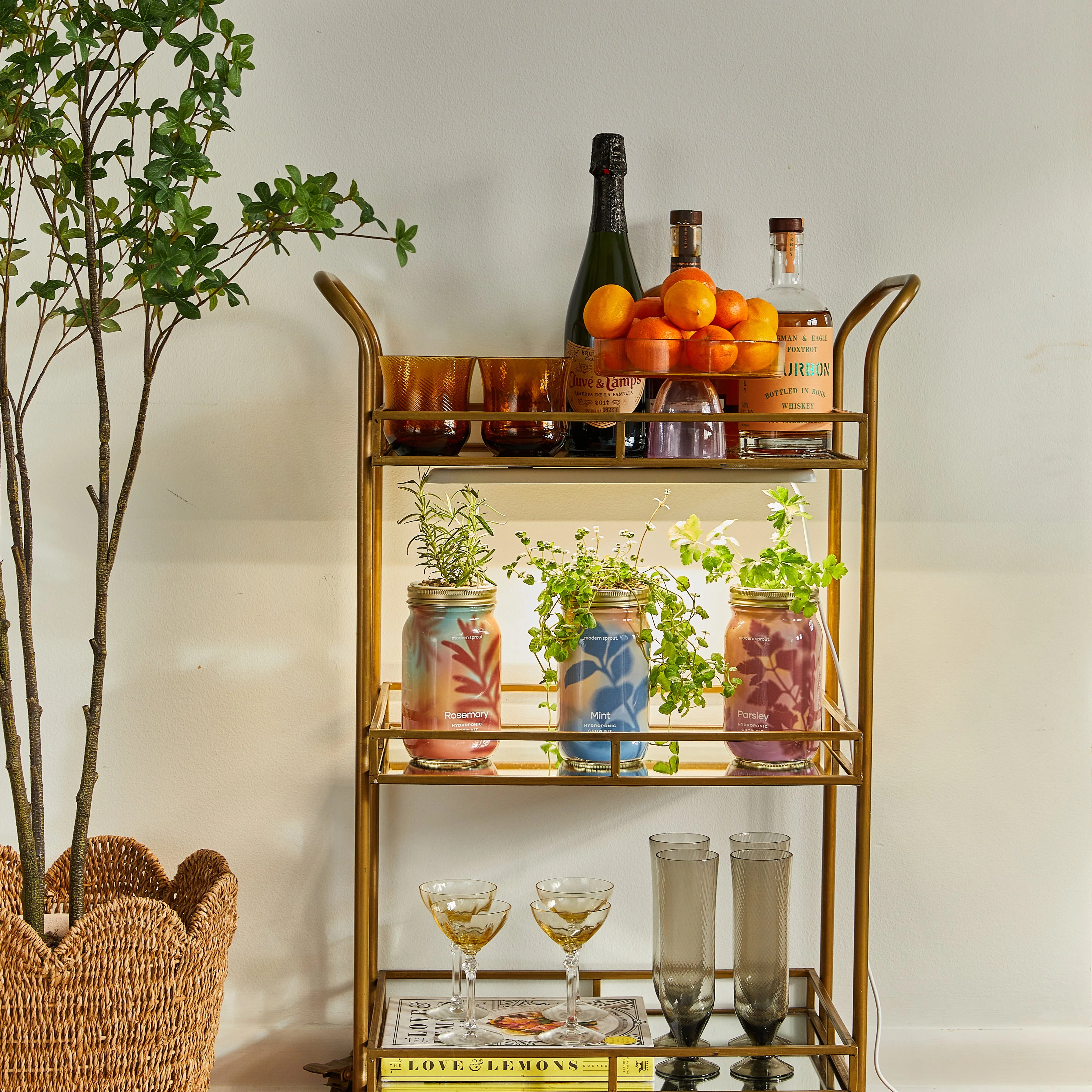 Modern Sprout Smart Growbar - Image 4