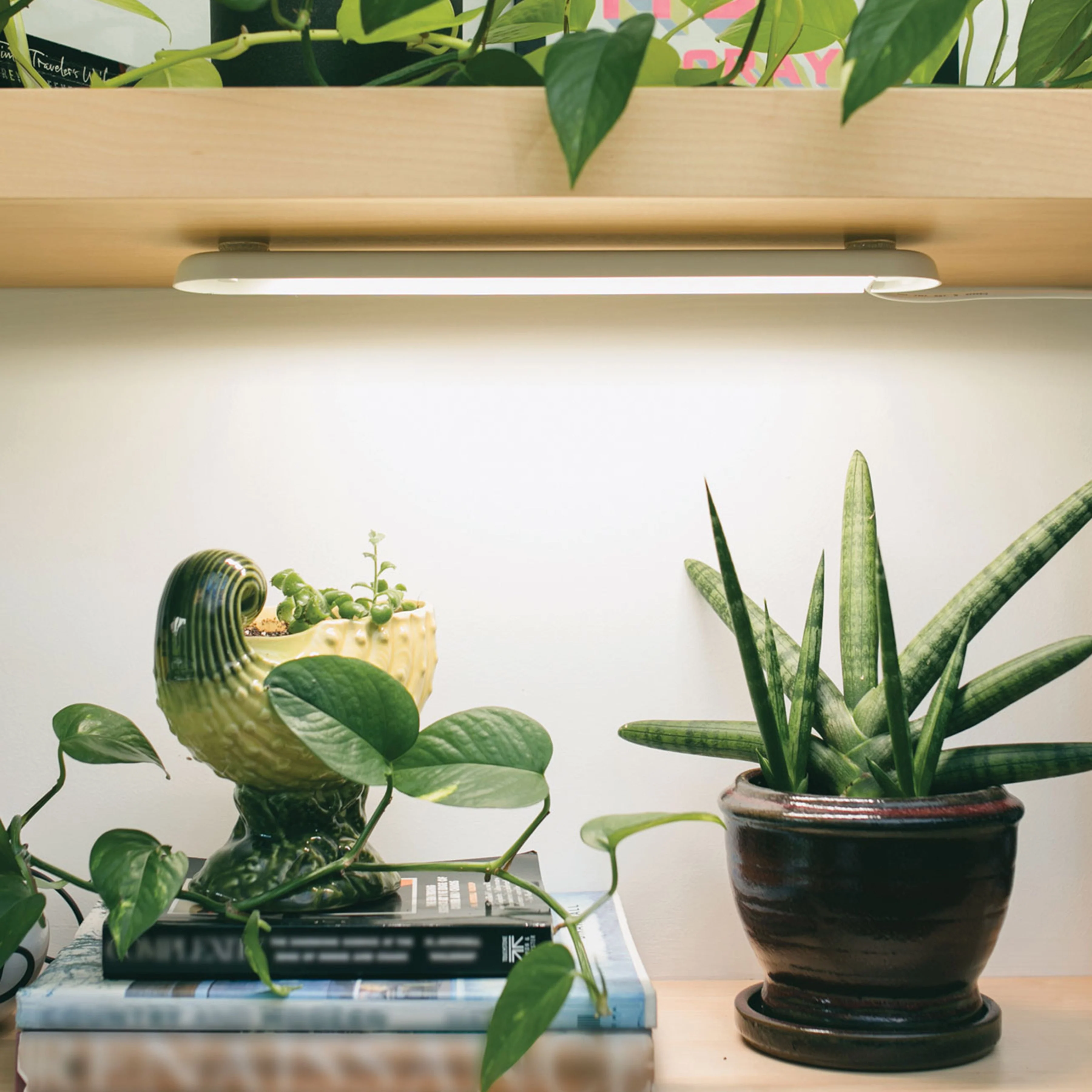 Modern Sprout Smart Growbar - Image 5