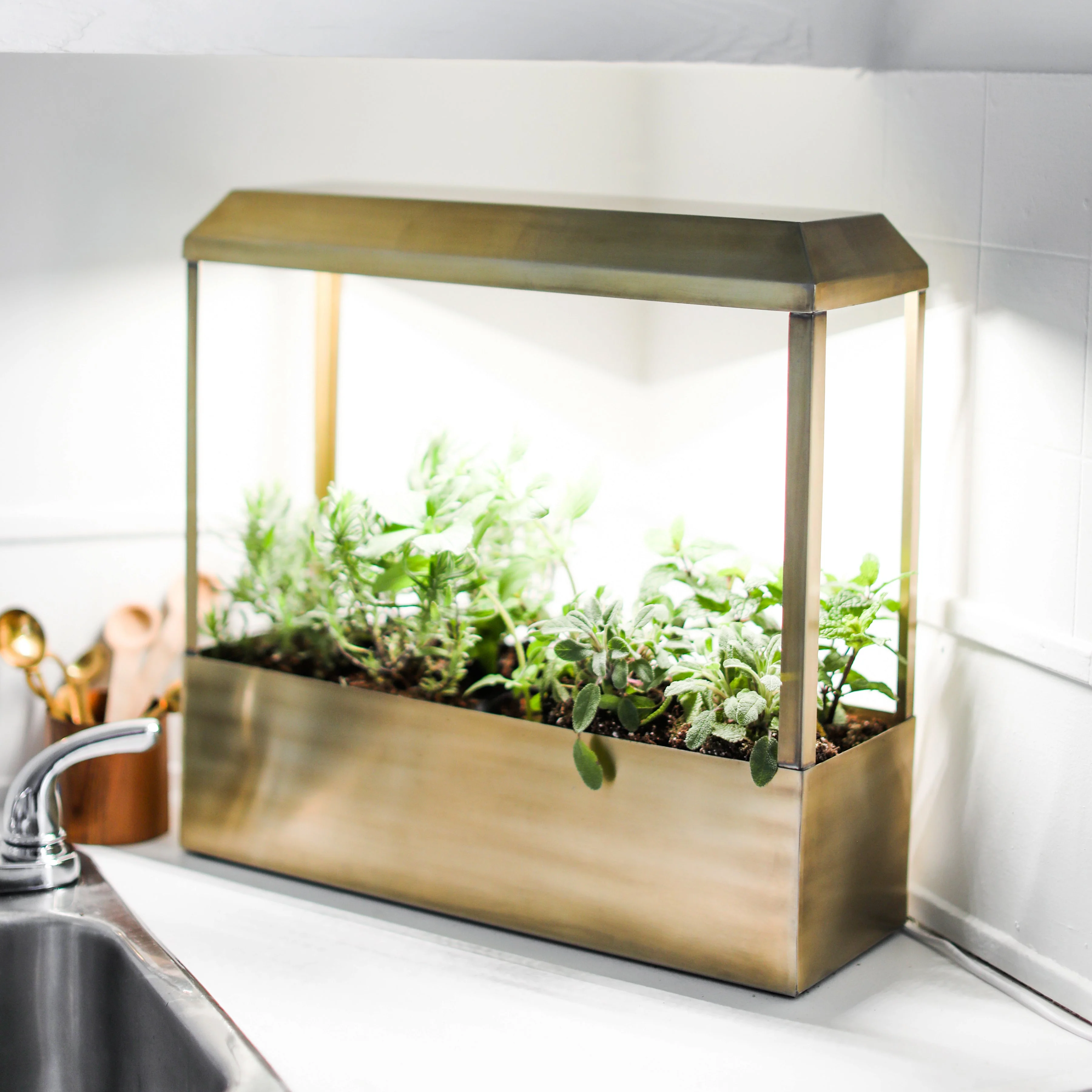 Modern Sprout Smart Growhouse - Image 3