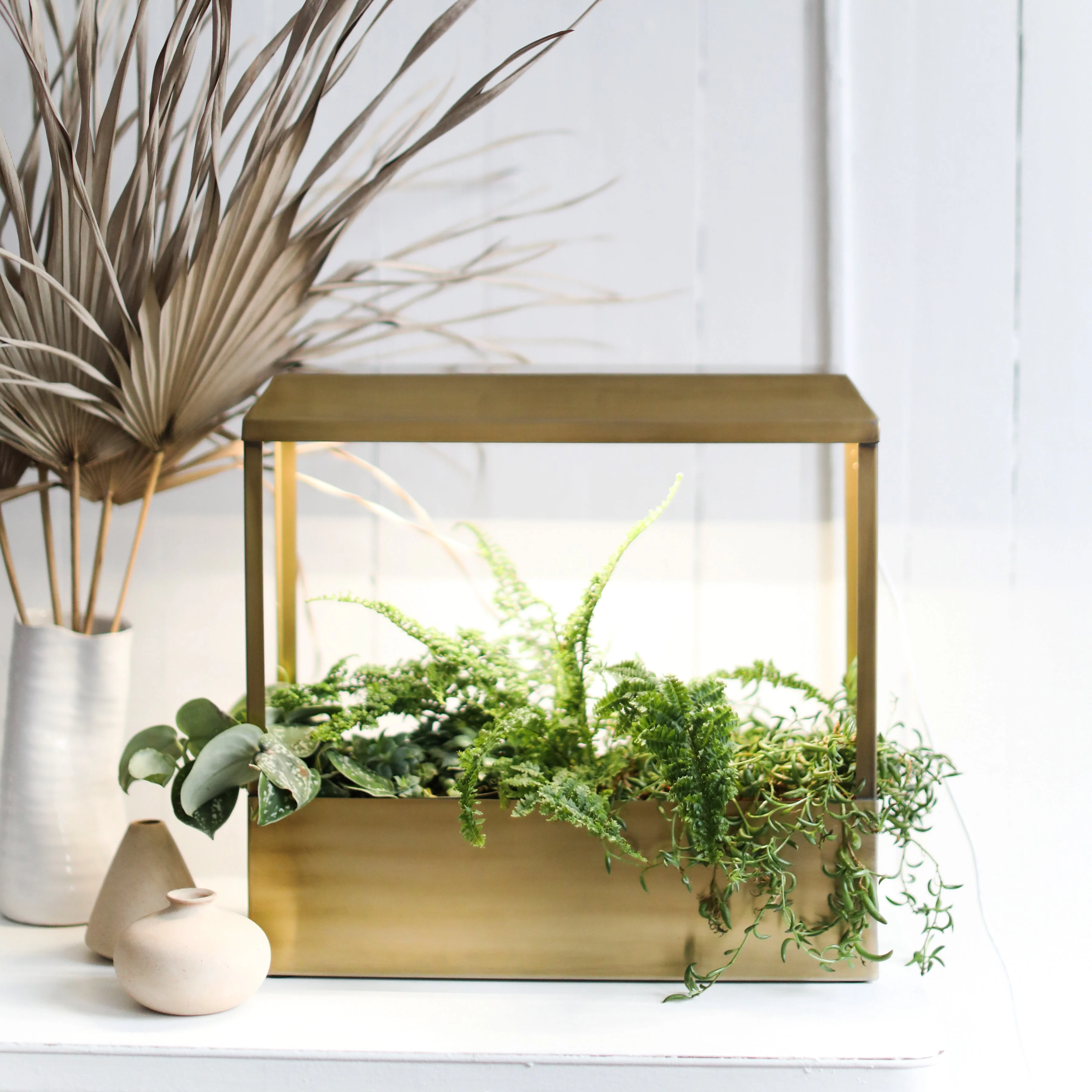 Modern Sprout Smart Growhouse - Image 4