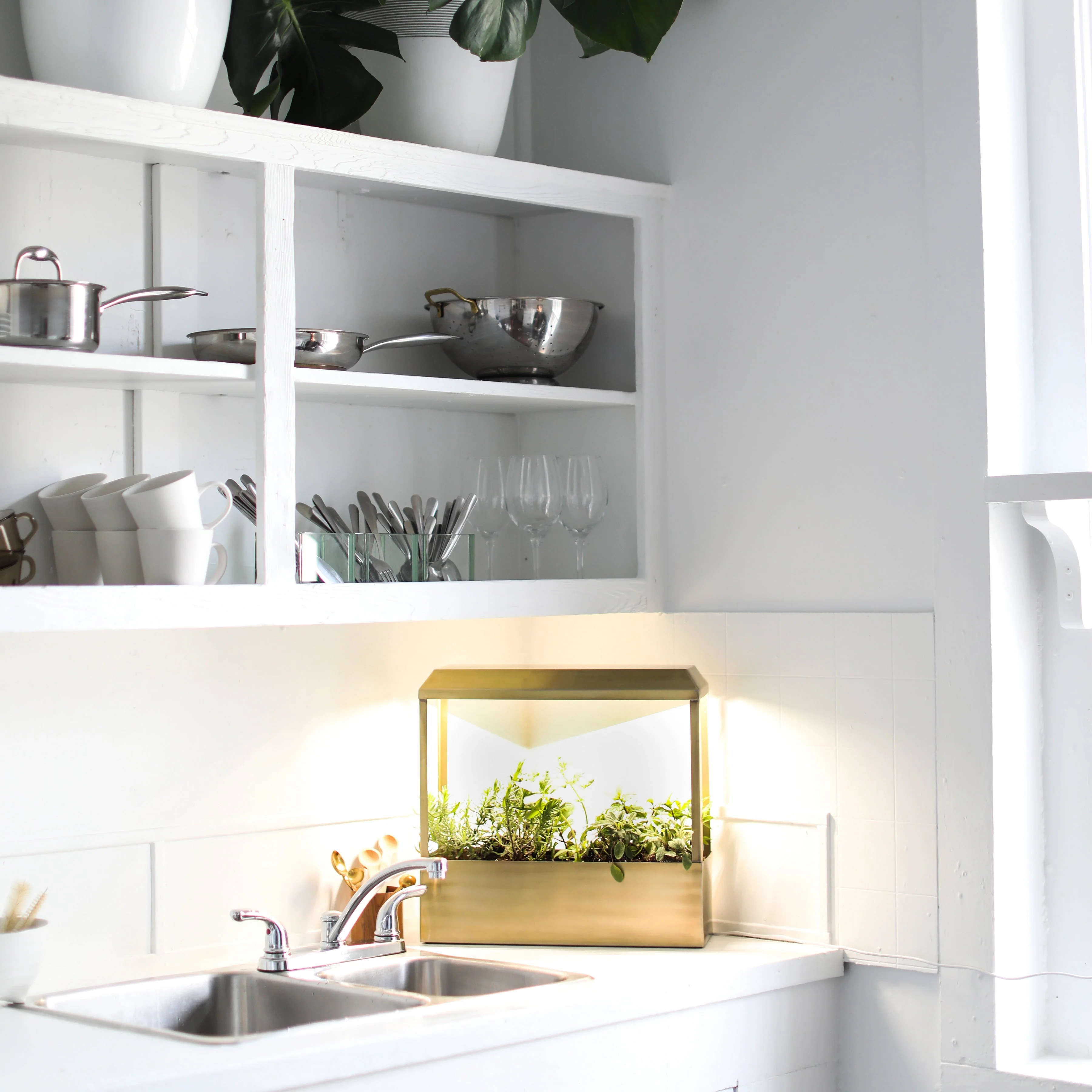 Modern Sprout Smart Growhouse - Image 5