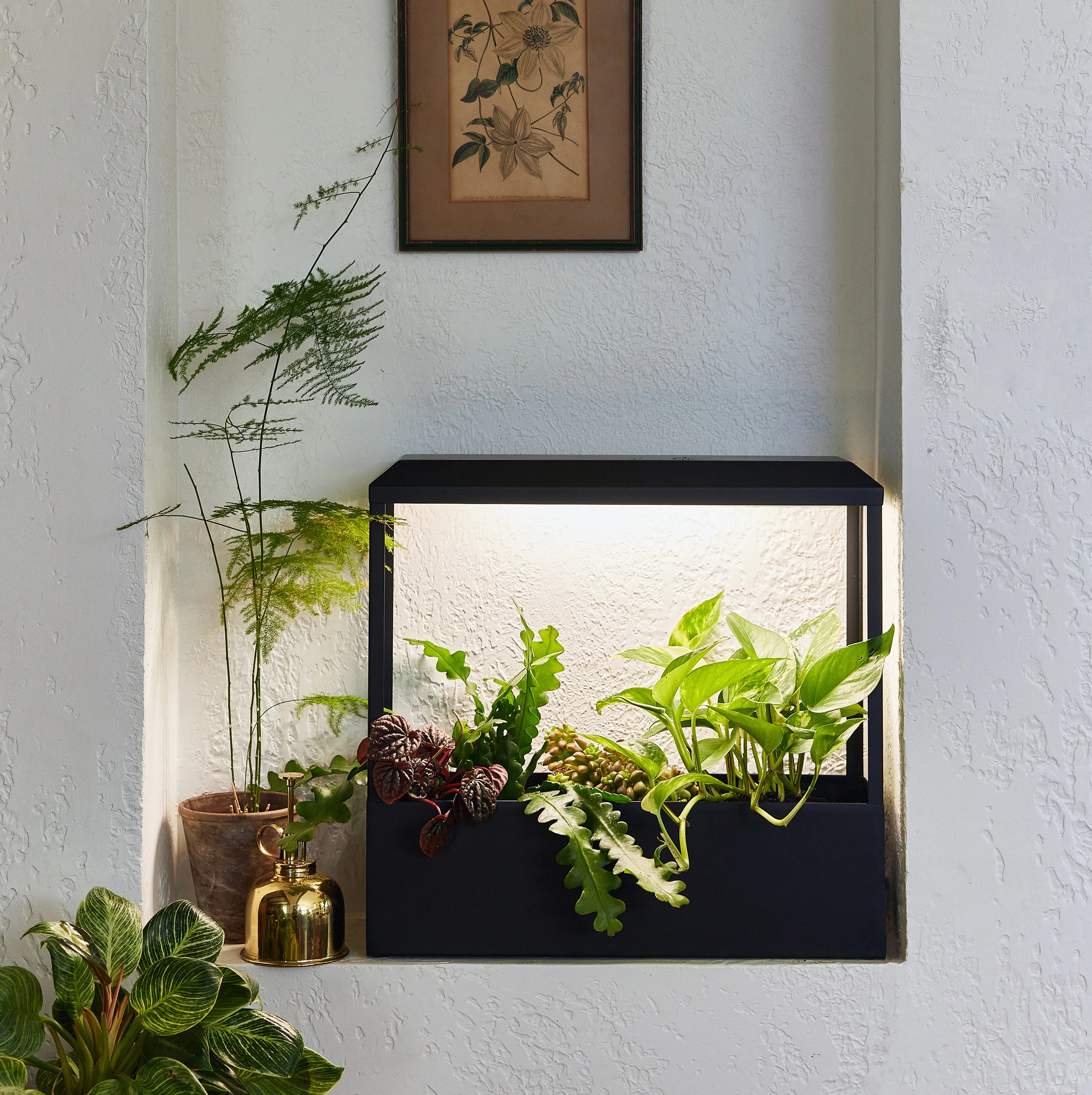 Modern Sprout Smart Growhouse - Image 6