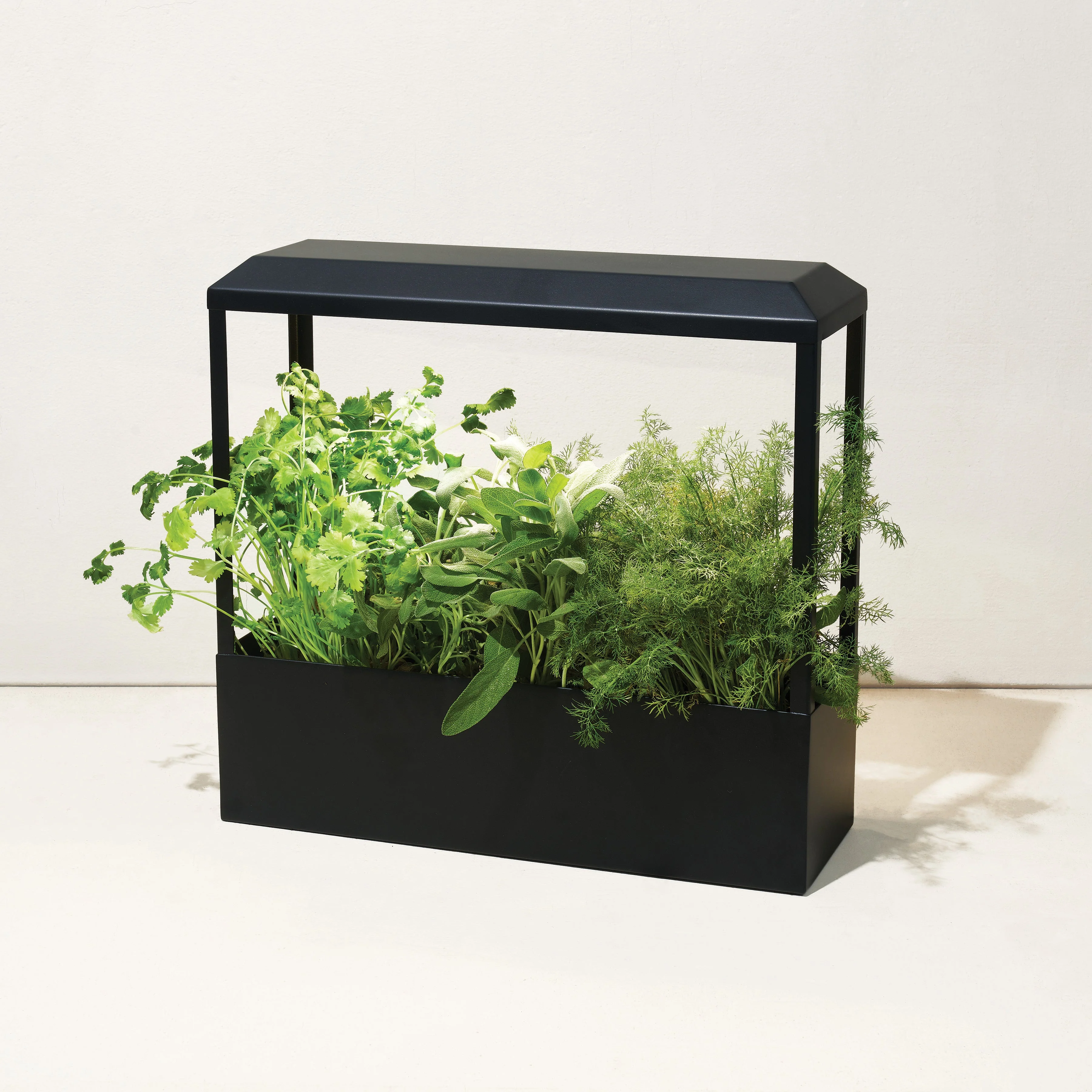 Modern Sprout Smart Growhouse - Image 9