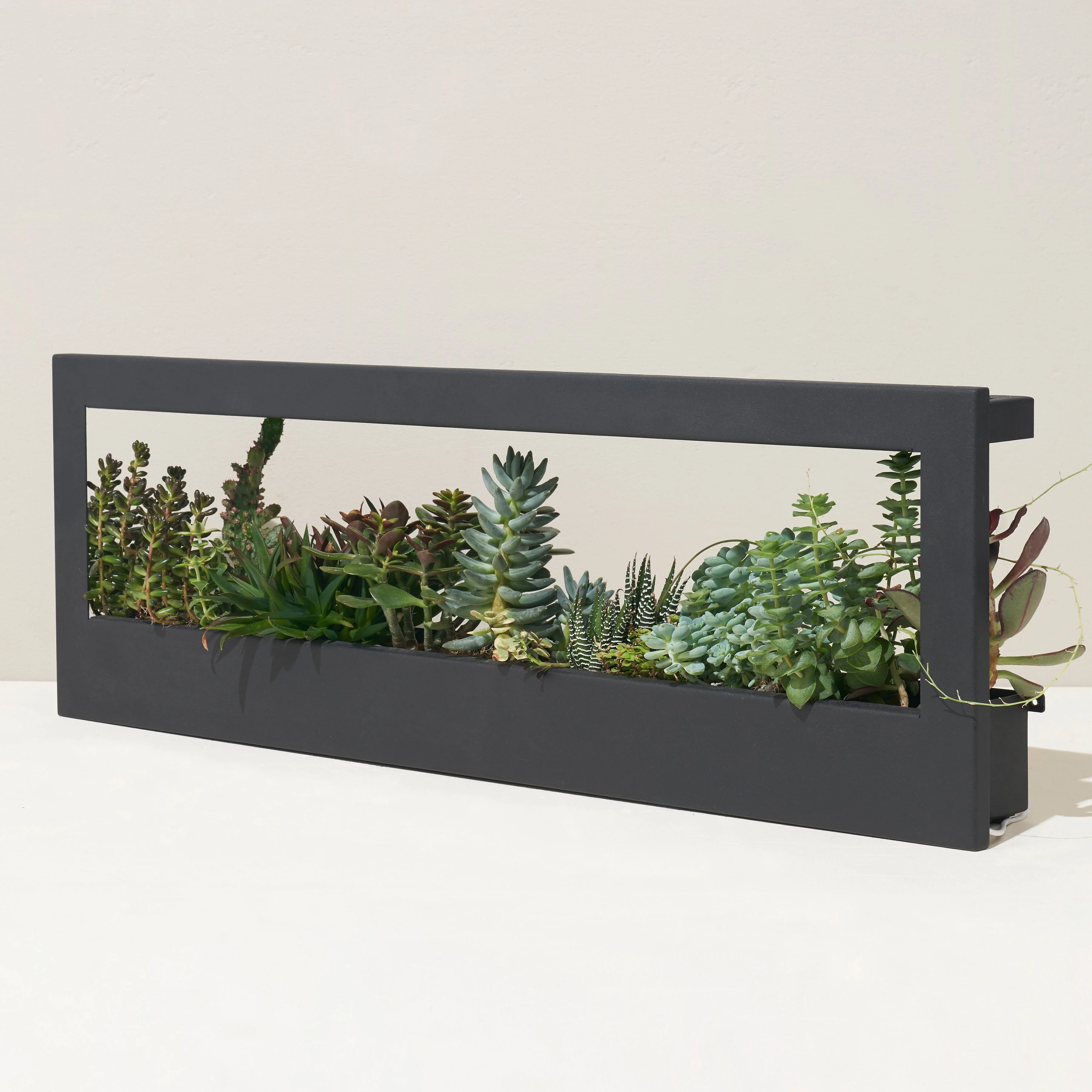 Modern Sprout Smart Landscape Growframe - Image 4
