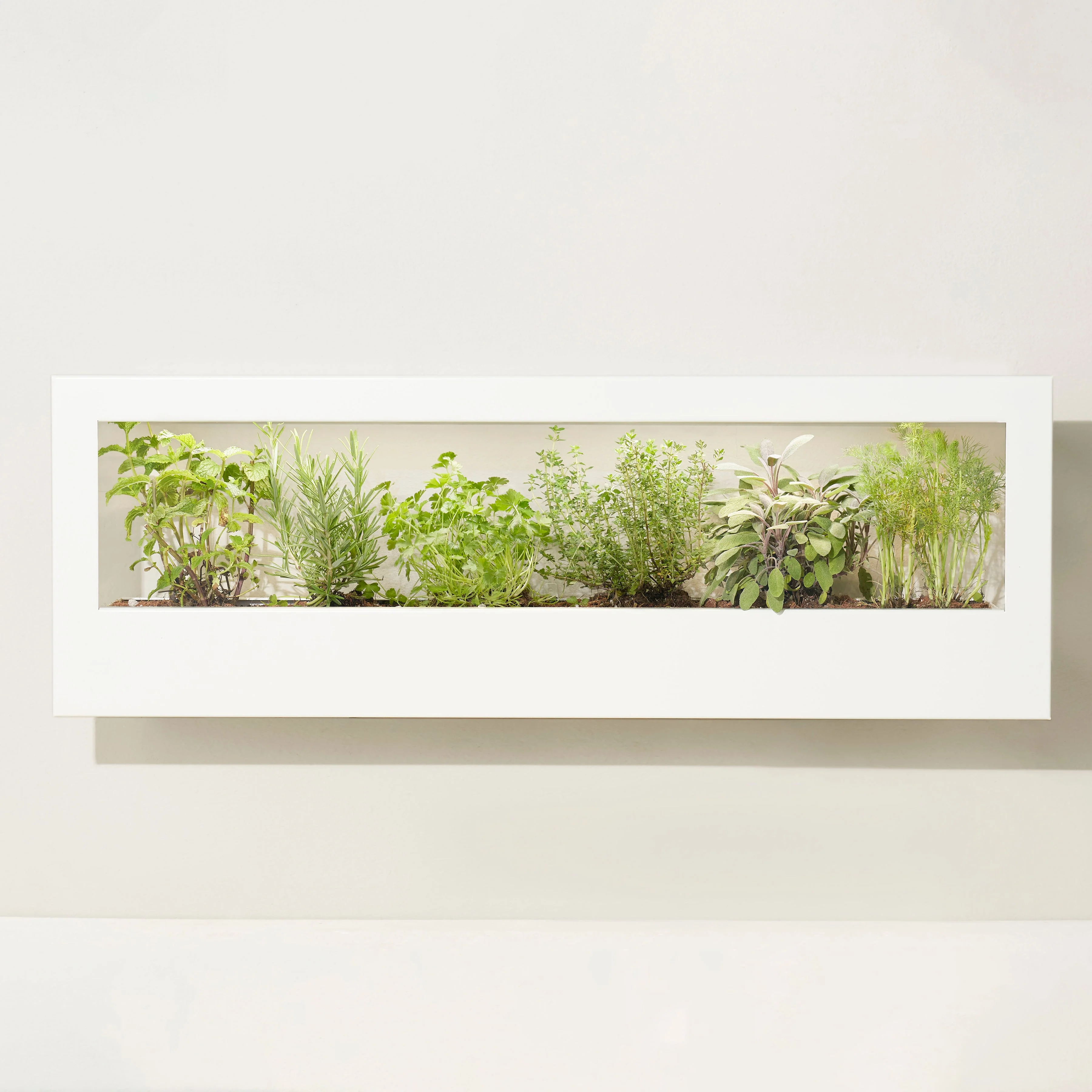 Modern Sprout Smart Landscape Growframe - Image 6