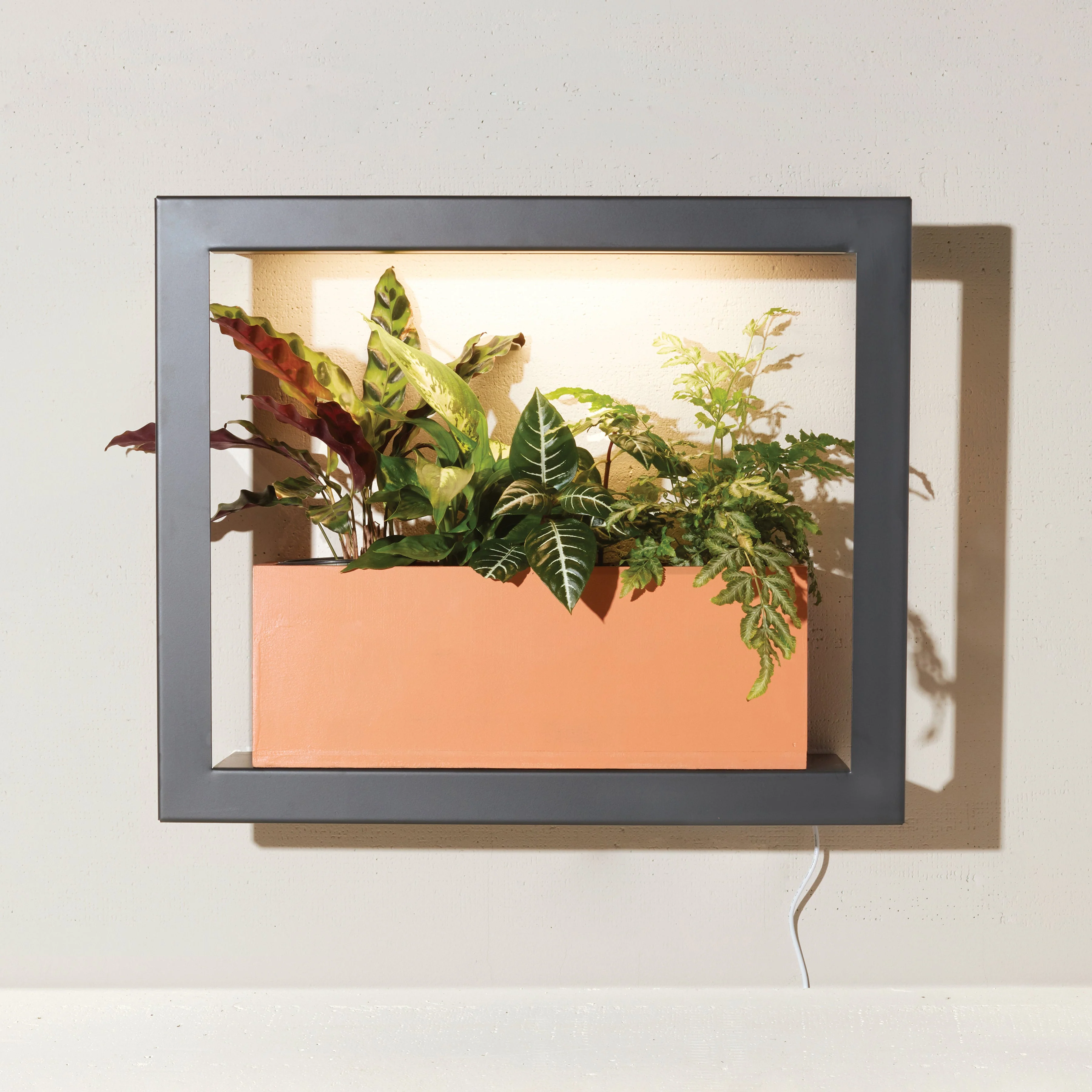 Modern Sprout Smart Standard Growframe - Image 10