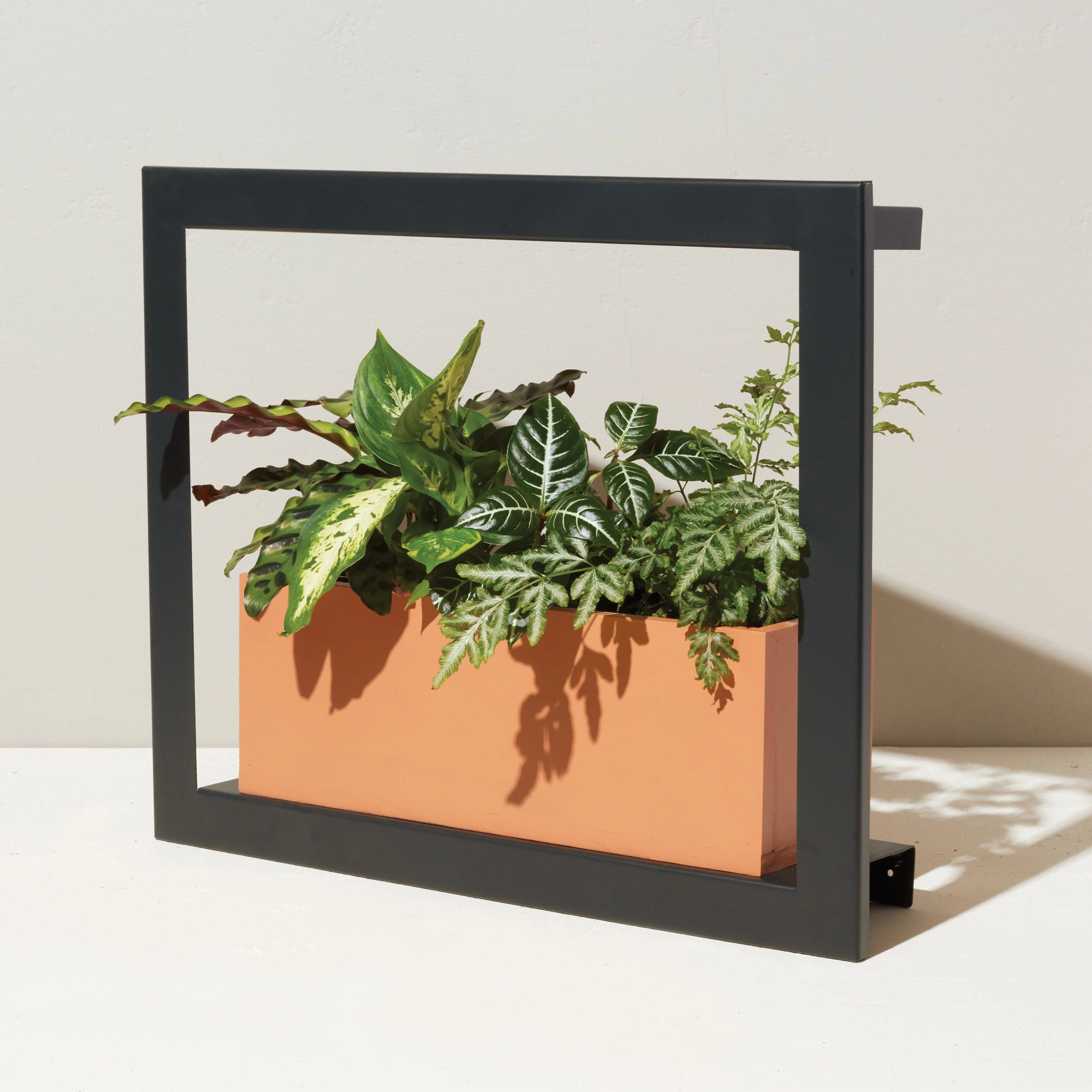 Modern Sprout Smart Standard Growframe - Image 11