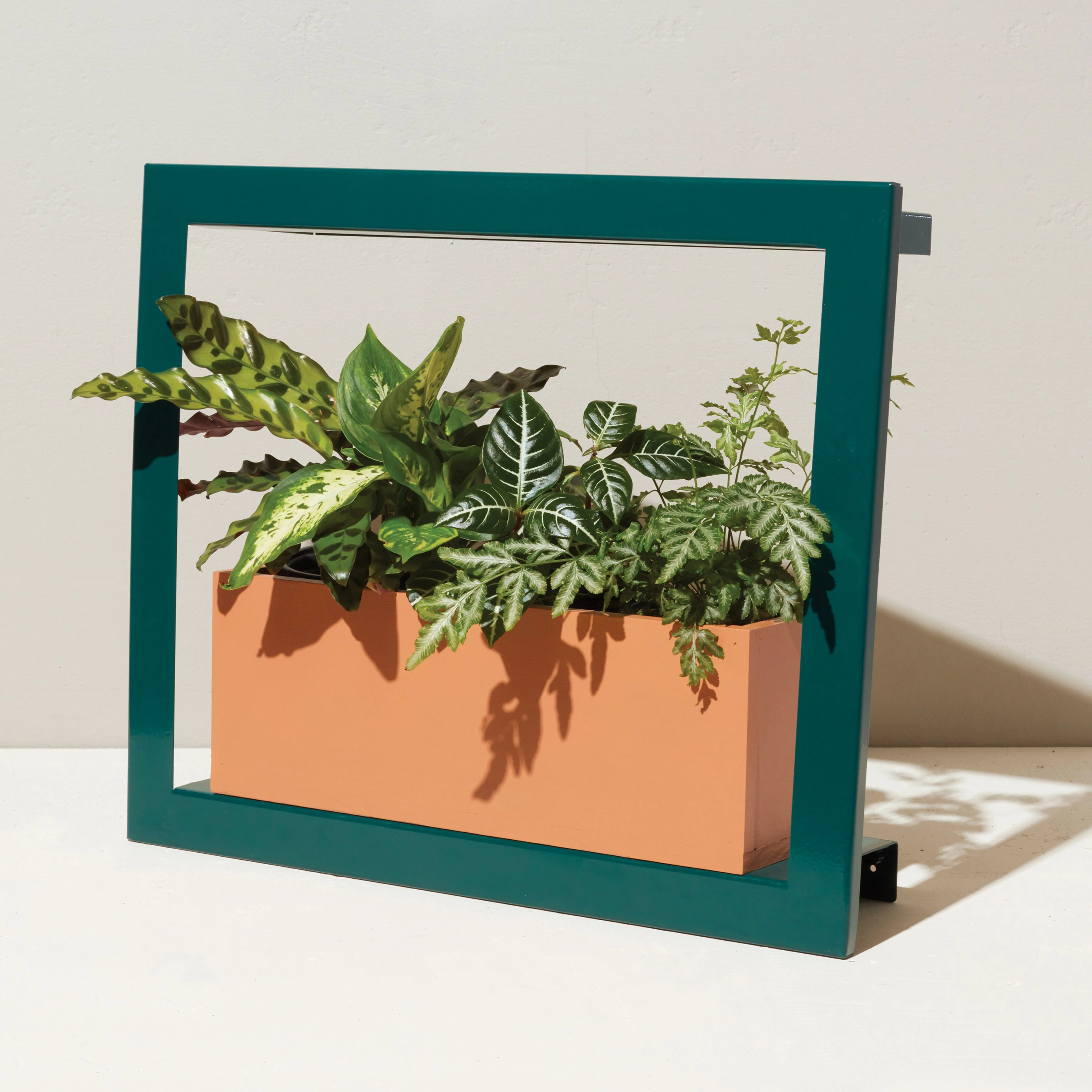 Modern Sprout Smart Standard Growframe - Image 13