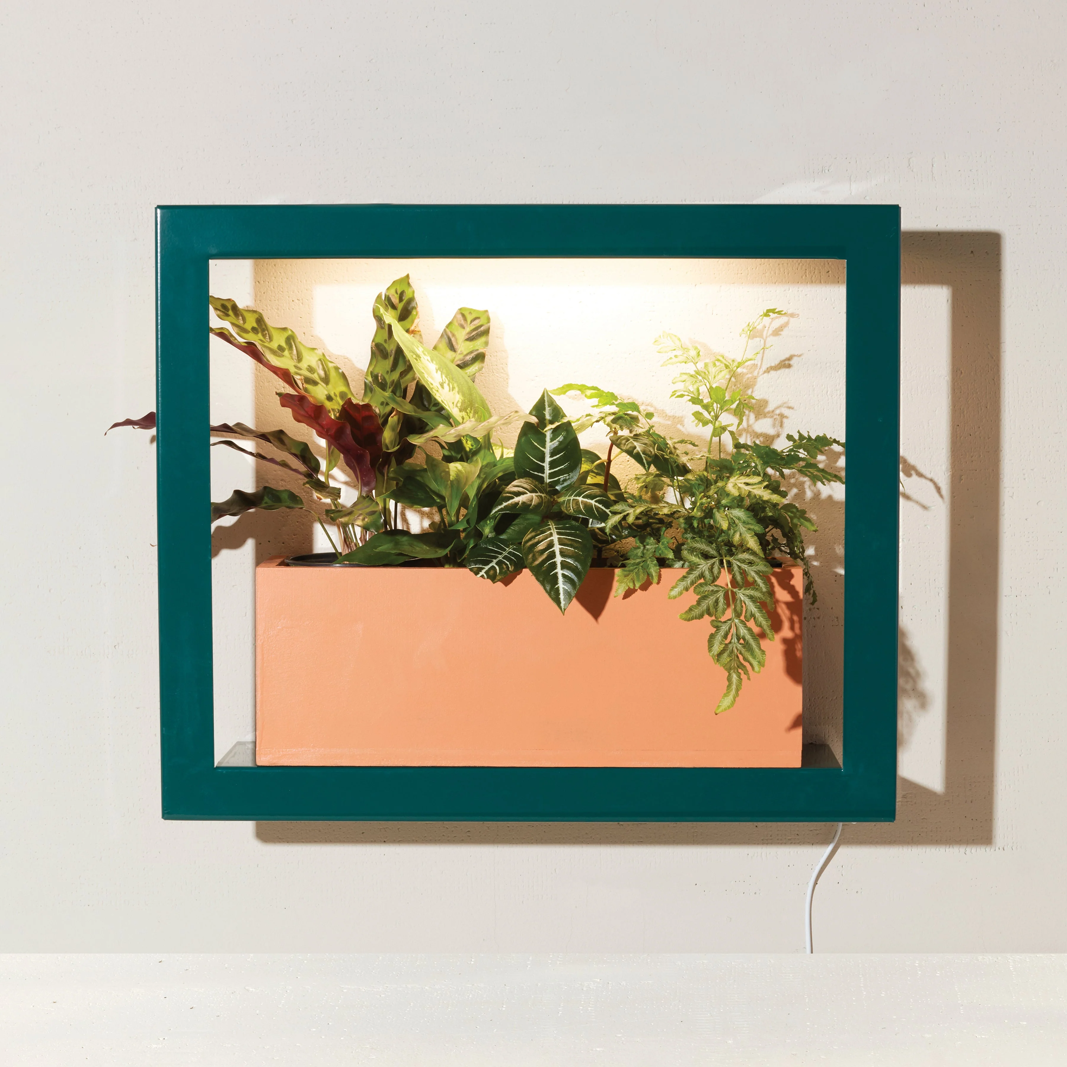 Modern Sprout Smart Standard Growframe - Image 14