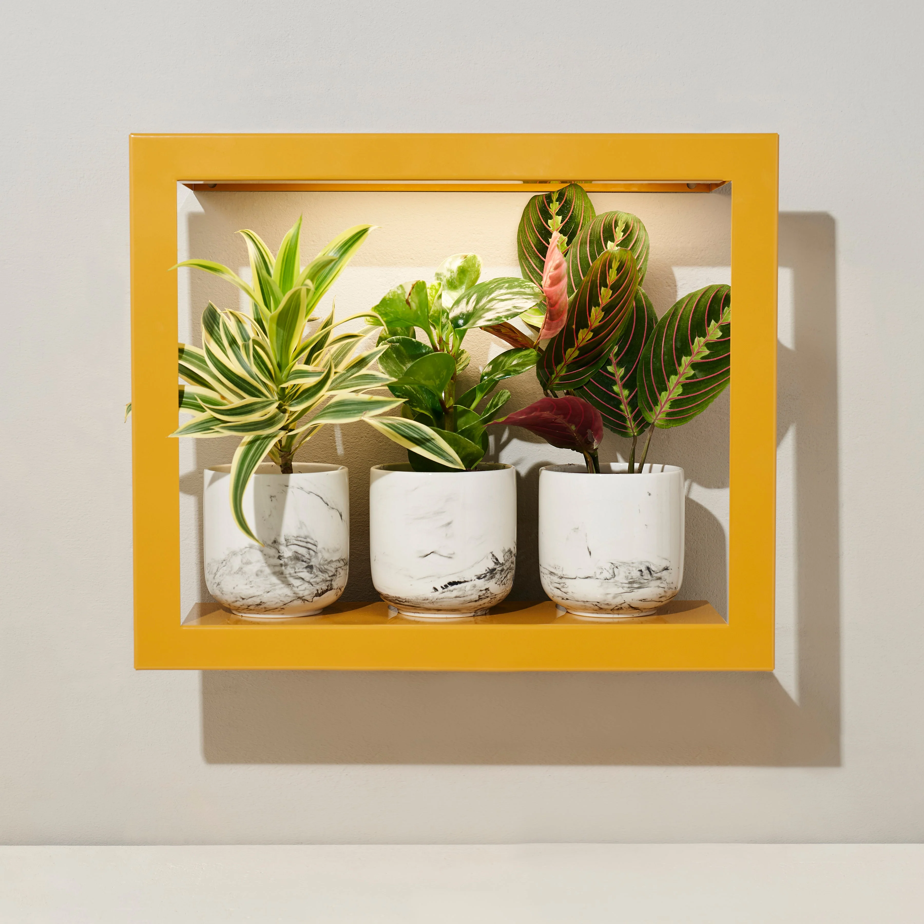 Modern Sprout Smart Standard Growframe - Image 4