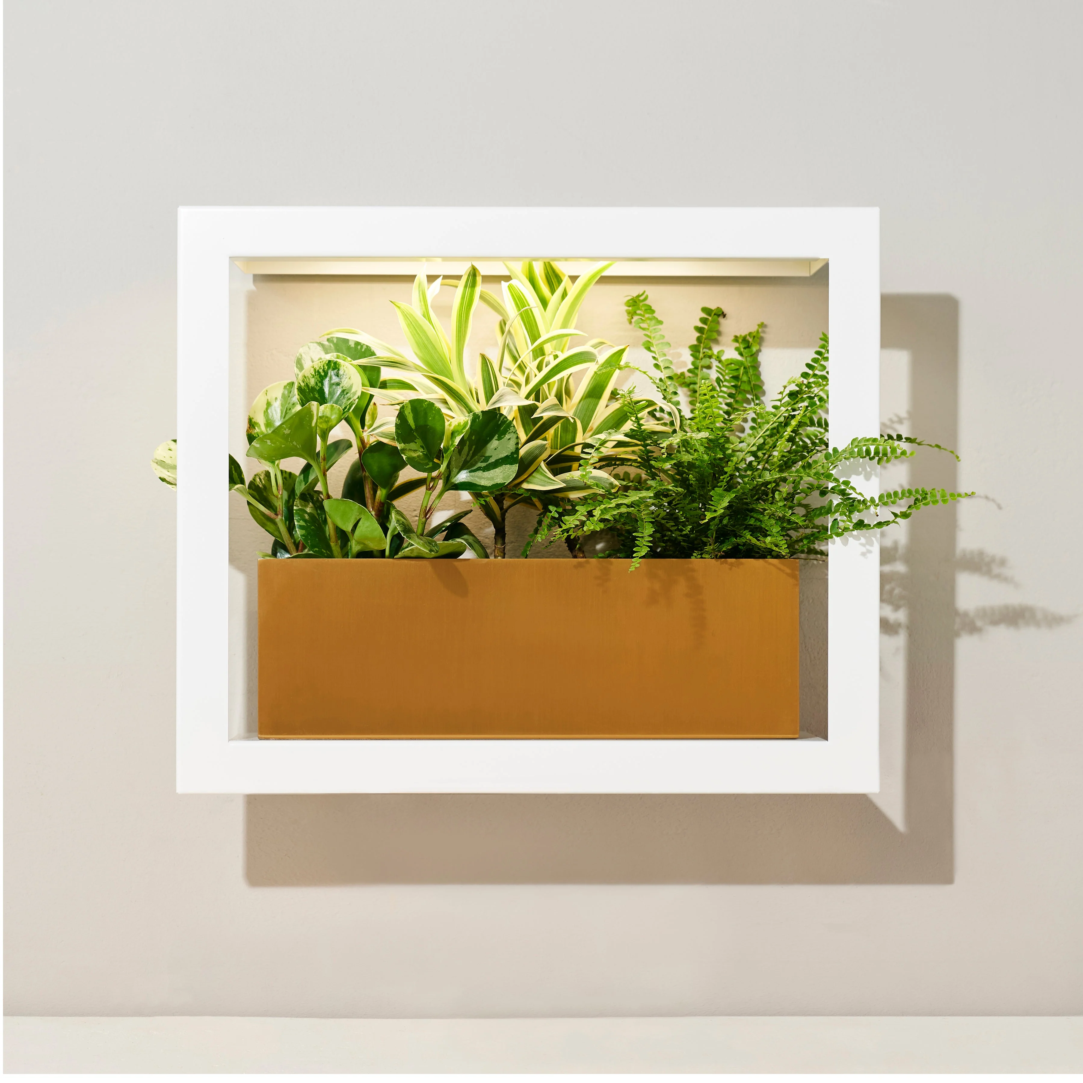 Modern Sprout Smart Standard Growframe - Image 7