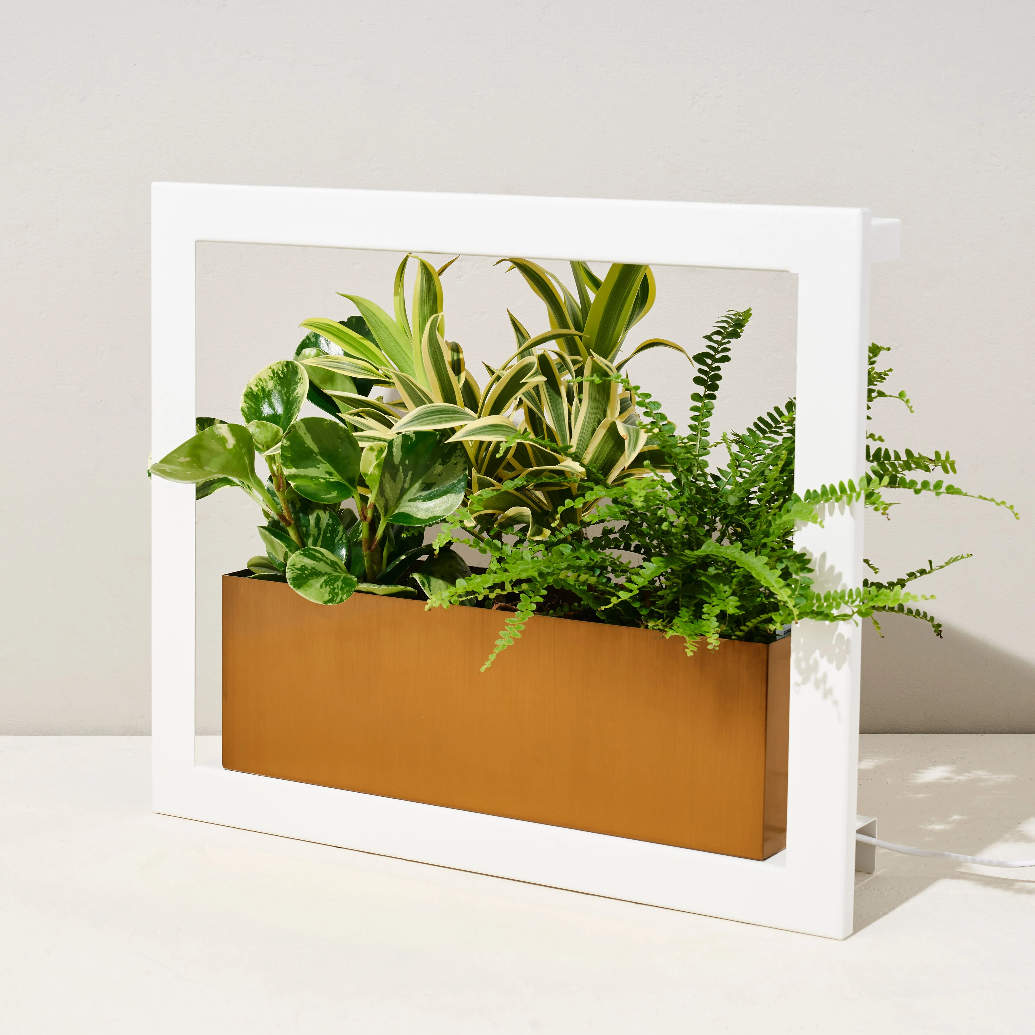 Modern Sprout Smart Standard Growframe - Image 8