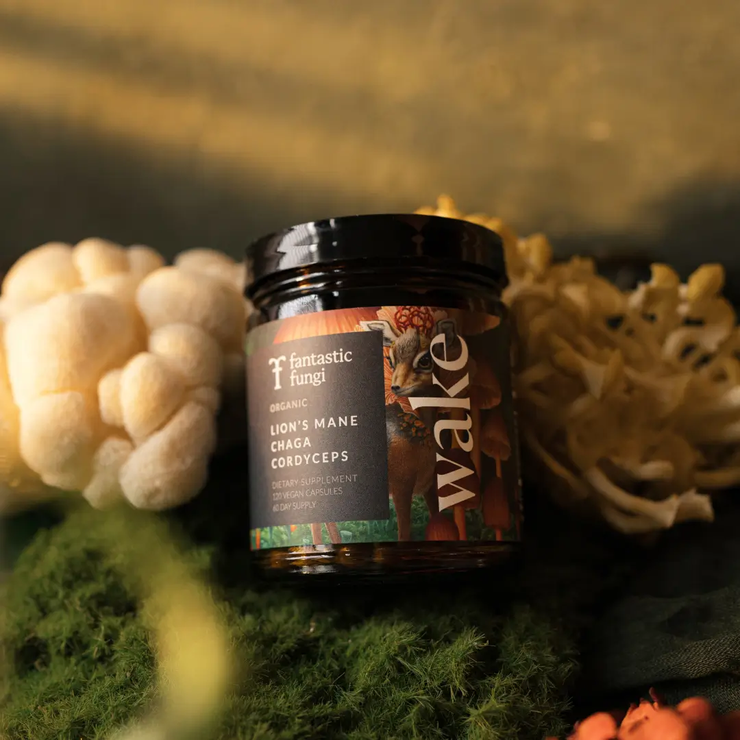 Fantastic Fungi Wake Capsules - Image 3