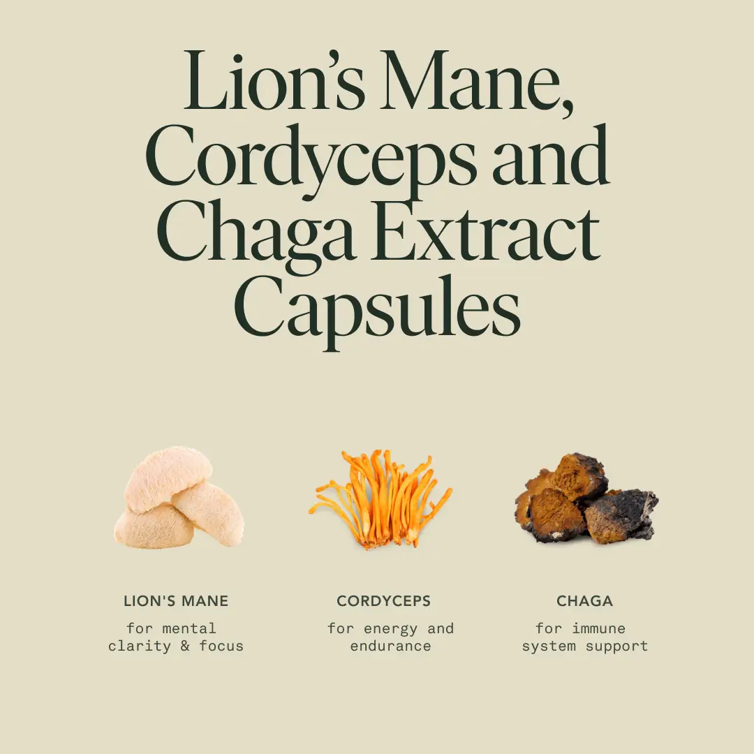 Fantastic Fungi Wake Capsules - Image 6