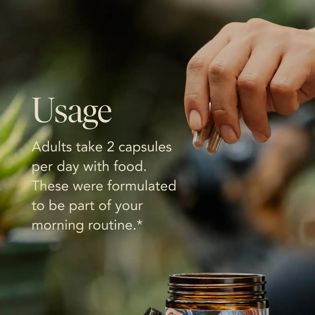 Fantastic Fungi Wake Capsules - Image 8