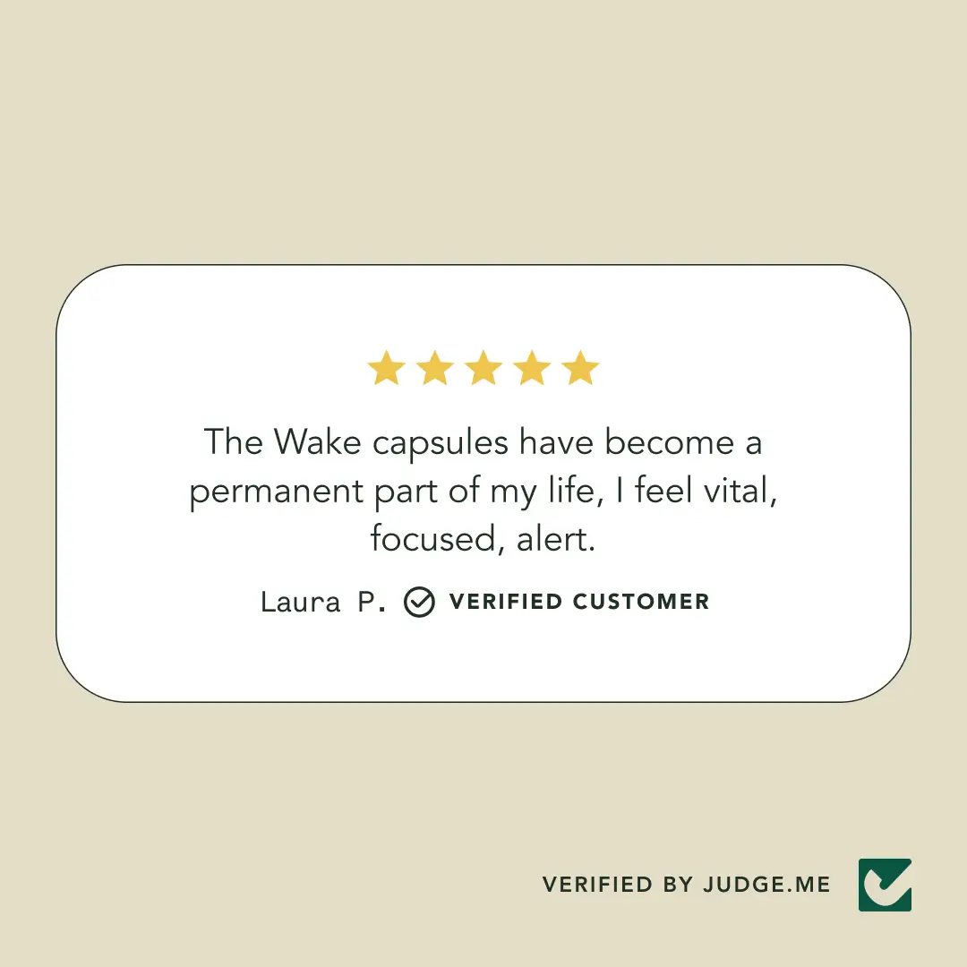 Fantastic Fungi Wake Capsules - Image 9