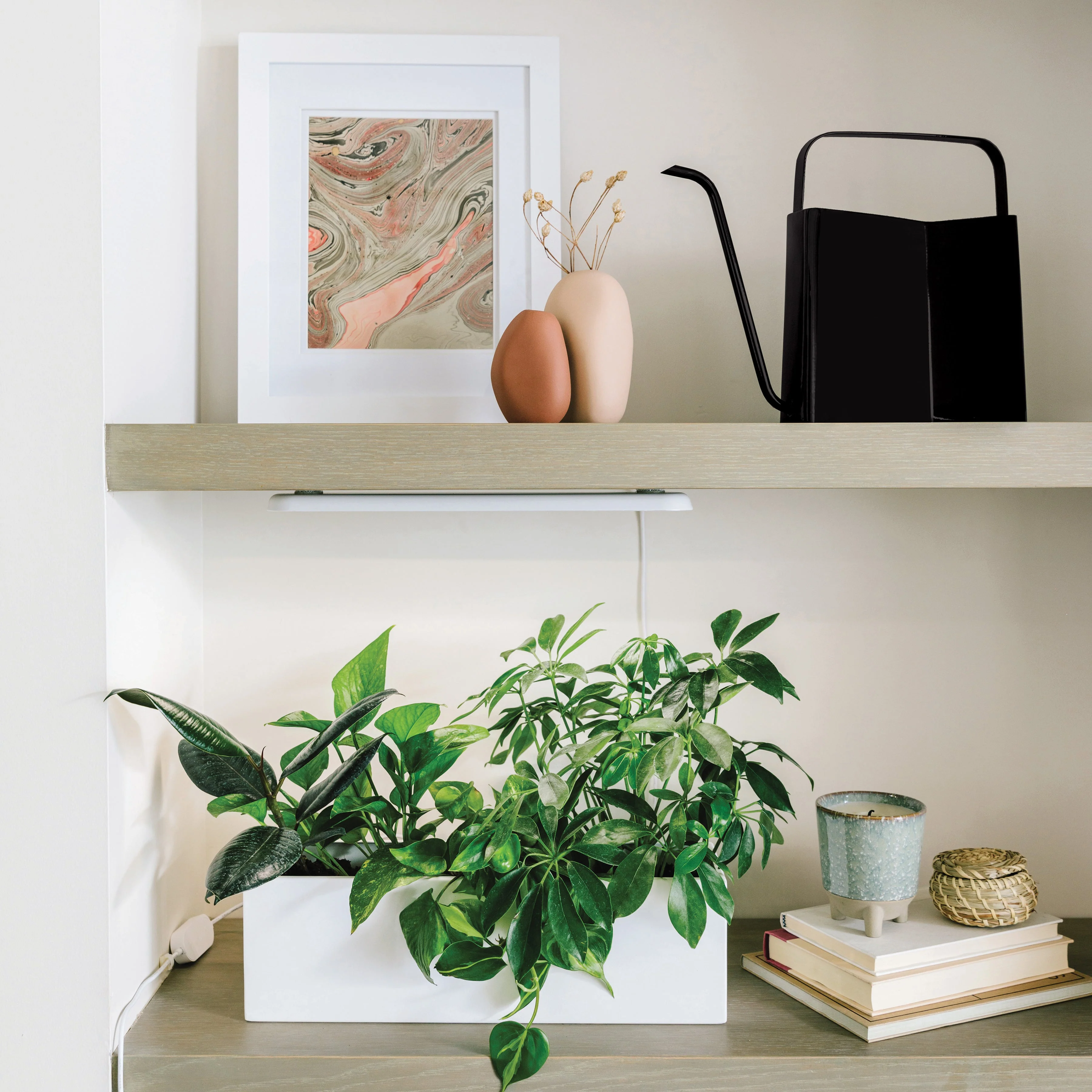 Modern Sprout Watering Cans - Image 7