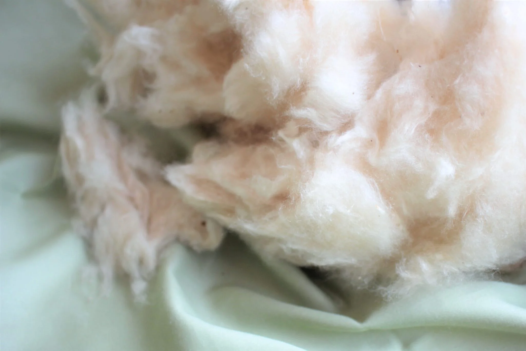 White Lotus Natural Kapok - Image 4